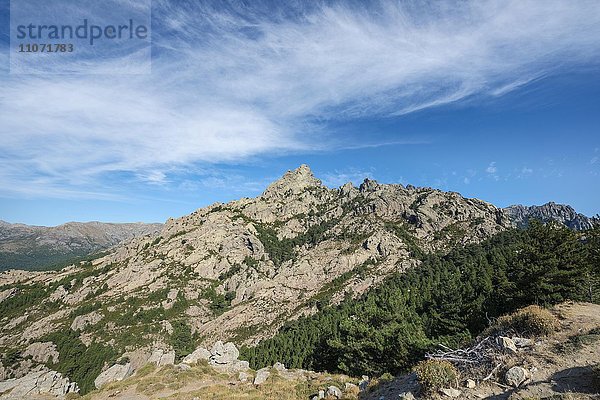 Col de Bavella  Bavella-Massiv  Korsika  Frankreich  Europa