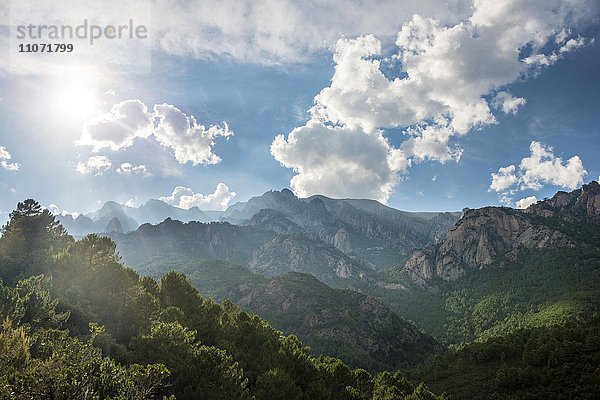 Mit Kiefern bewachsene felsige Landschaft  Wolkenhimmel  Col de Bavella  Bavella-Massiv  Korsika  Frankreich  Europa