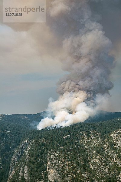 Rauchwolken bei einem Waldbrand  Yosemite Nationalpark  Kalifornien  USA  Nordamerika