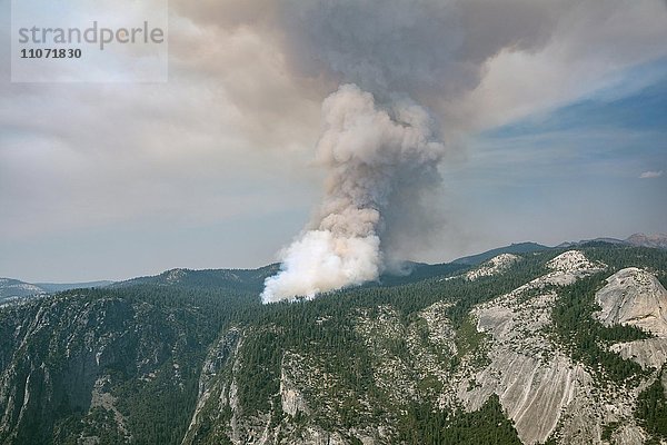 Rauchwolken bei einem Waldbrand  Yosemite Nationalpark  Kalifornien  USA  Nordamerika