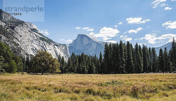 Sumpflandschaft mit Bergen  hinten Half Dome  Yosemite Valley  Yosemite-Nationalpark  UNESCO-Welterbe Kalifornien  USA  Nordamerika