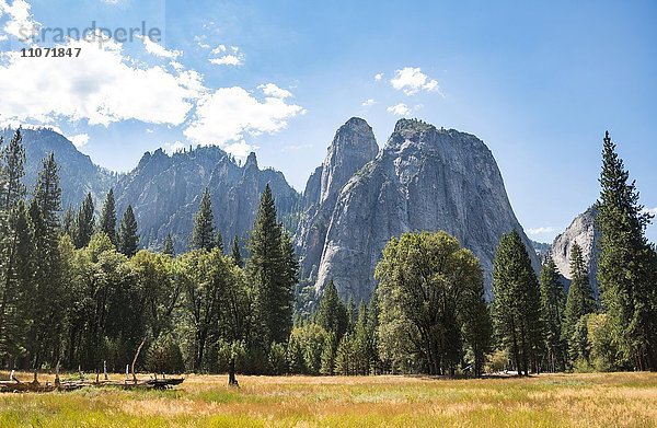 Sumpflandschaft im Yosemite Valley  Yosemite National Park  UNESCO World Heritage Site Kalifornien  USA  Nordamerika