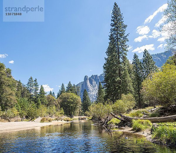 Fluss Merced River  Yosemite Valley  Yosemite-Nationalpark  UNESCO-Welterbe Kalifornien  USA  Nordamerika
