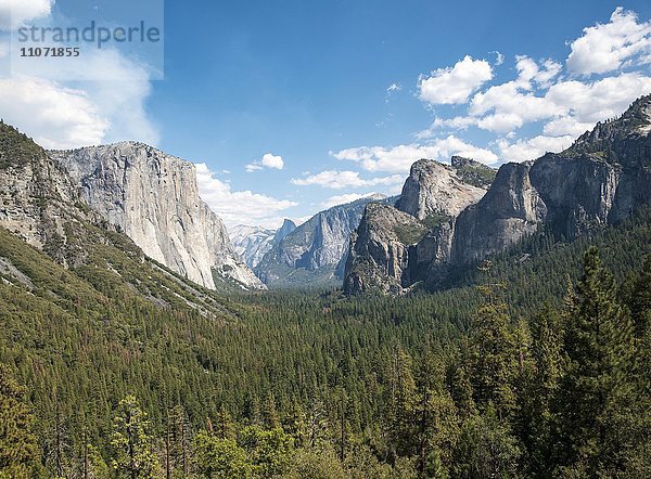 Ausblick ins Tal  Yosemite Valley  Tunnel View  El Capitan  Yosemite Nationalpark  Kalifornien  USA  Nordamerika