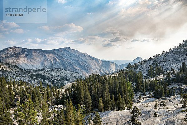Ausblick in die High Sierra  Olmsted Point  Yosemite Nationalpark  Kalifornien  USA  Nordamerika