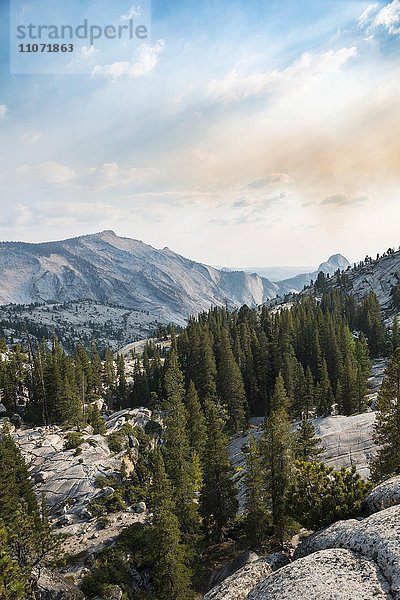 Ausblick in die High Sierra  Olmsted Point  Yosemite Nationalpark  Kalifornien  USA  Nordamerika