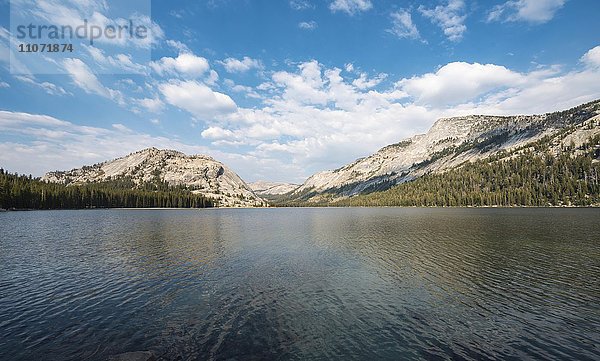 Tenaya Lake  Yosemite Nationalpark  Kalifornien  USA  Nordamerika