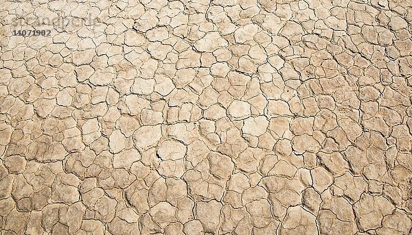 Ausgetrockneter Boden mit Rissen  Death Valley  Death-Valley-Nationalpark  Kalifornien  USA  Nordamerika