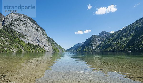 Ausblick über den Königssee  Nationalpark Berchtesgaden  Berchtesgadener Land  Oberbayern  Bayern  Deutschland  Europa
