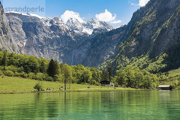 Ausblick auf die Salet-Alm mit Obersee  Königssee  Berchtesgadener Land  Oberbayern  Bayern  Deutschland  Europa