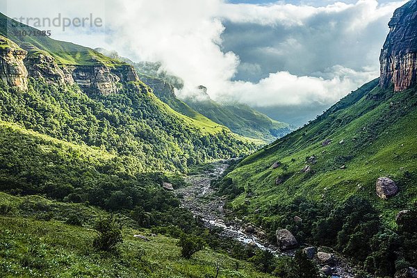 Grüne Landschaft entlang des Fluss Tugela  Tugelatal  Drakensberge Nationalpark  KwaZulu Natal  Südafrika