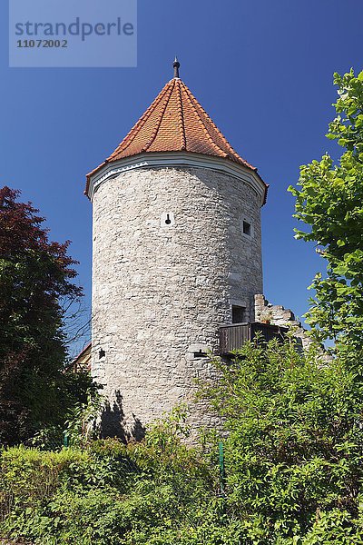 Roter Turm  Sommerhausen  Bayern  Unterfranken  Franken  Deutschland  Europa