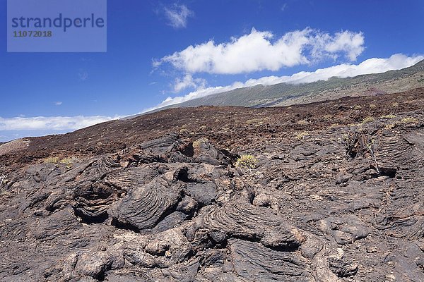 Lavafeld  Lajial  bei La Restinga  El Hierro  Kanarische Inseln  Spanien  Europa