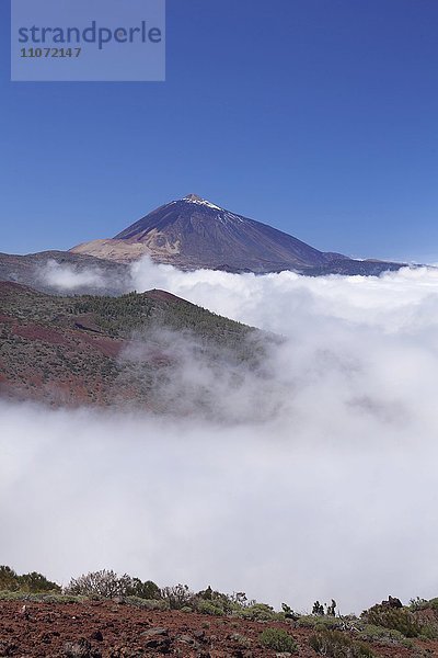 Pico del Teide über Passatwolken  Nationalpark Teide  Teneriffa  Kanarische Inseln  Spanien  Europa