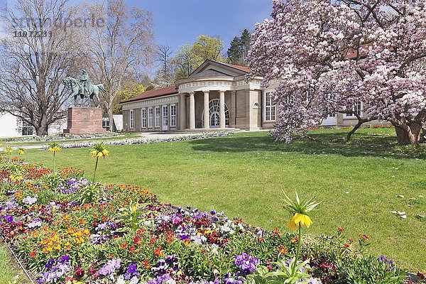 Kurhaus im Frühling mit Blumenbeet und Magnolienblüte  Bad Cannstatt  Stuttgart  Baden Württemberg Deutschland