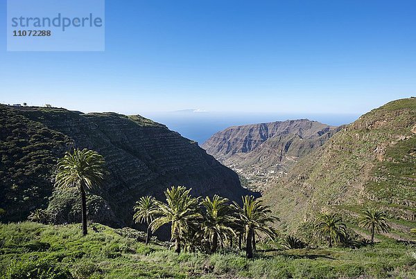 Valle Gran Rey mit Palmen  La Gomera  Kanarische Inseln  Kanaren  Spanien  Europa