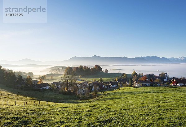 Aidling mit Nebel im Herbst  Aidlinger Höhe  Gemeinde Riegsee  Pfaffenwinkel  Oberbayern  Bayern  Deutschland  Europa