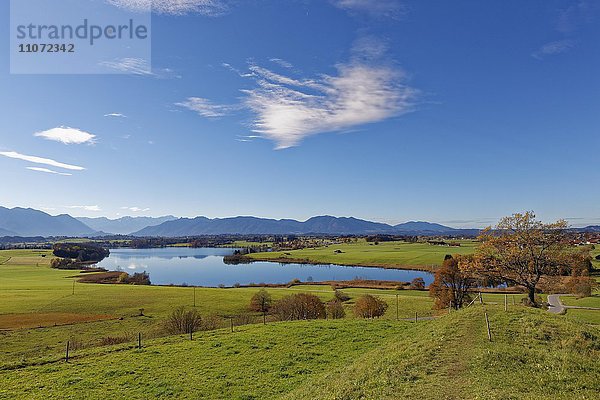 Riegsee  Pfaffenwinkel  Oberbayern  Bayern  Deutschland  Europa