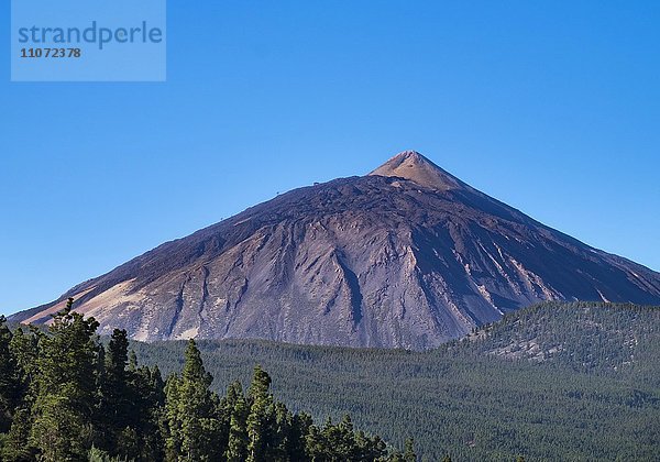 Vulkan Pico del Teide  gesehen von Orotava  Teneriffa  Kanarische Inseln  Spanien  Europa