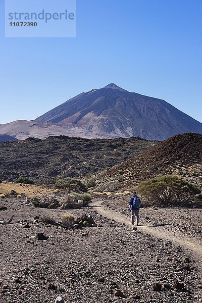 Wanderweg Ruta Arenas Negras und Vulkan Pico del Teide  Teide-Nationalpark  Parque Nacional de las Cañadas del Teide  Teneriffa  Kanarische Inseln  Spanien  Europa