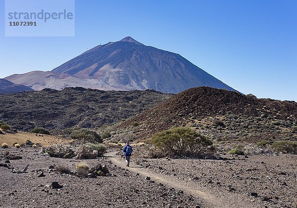 Wanderweg Ruta Arenas Negras und Vulkan Pico del Teide  Teide-Nationalpark  Parque Nacional de las Cañadas del Teide  Teneriffa  Kanarische Inseln  Spanien  Europa