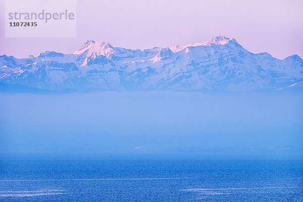 Bodensee mit Bergen Altmann und Säntis in der Schweiz bei Morgenlicht  Ausblick vom Moleturm in Friedrichshafen  Bodenseekreis  Baden-Württemberg  Deutschland  Europa