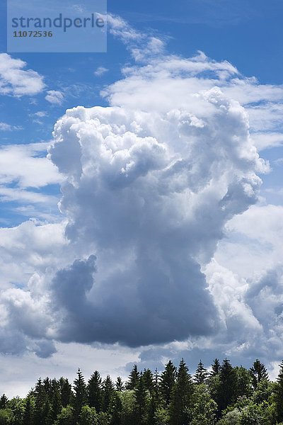 Gewitterwolken  Pupplinger Au  Oberbayern  Bayern  Deutschland  Europa