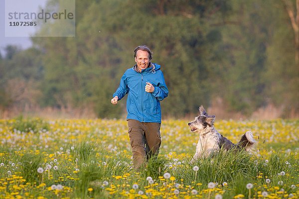 Mann und Hund (Canis lupus familiaris)  Briard Mischling  rennen über eine Blumenwiese  Ketzin  Brandenburg  Deutschland  Europa