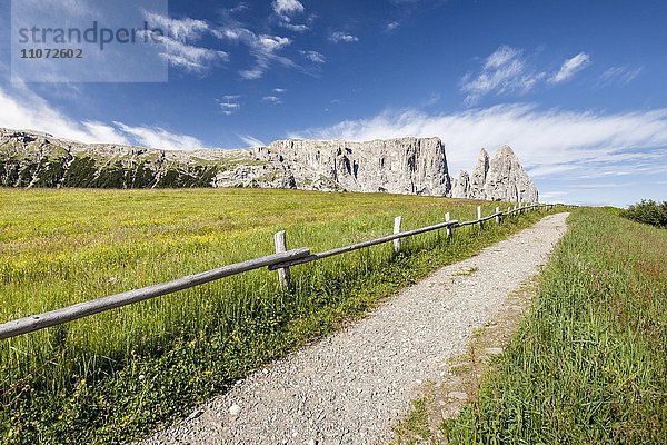 Seiser Alm im Naturpark Schlern-Rosengarten hinten Schlern mit den Felsspitzen Santner und Euringer  Dolomiten  Südtirol  Trentino-Südtirol  Italien  Europa