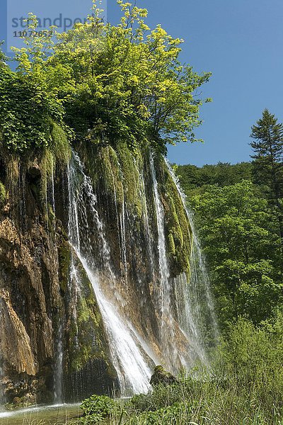 Wasserfall  Nationalpark Plitvicer Seen  Plitvicka Jezera  Lika-Senj  Kroatien  Europa