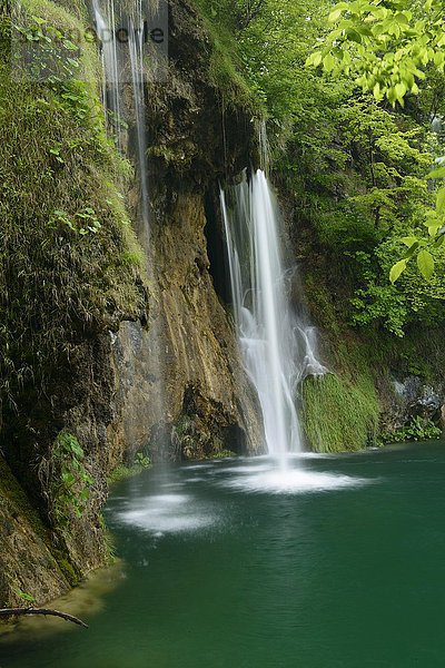 Wasserfall  Nationalpark Plitvicer Seen  Plitvicka Jezera  Lika-Senj  Kroatien  Europa