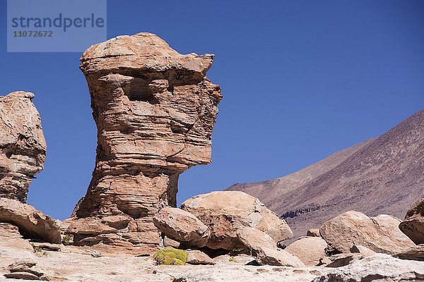 Erodierte Felsen  Felsformation  Valle de las Rocas  Felsental  bei Uyuni  Altiplano  Dreiländereck Bolivien  Argentinien  Chile  Südamerika