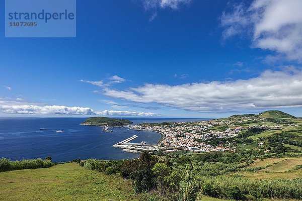Blick über Horta  Faial  Azoren  Portugal  Europa