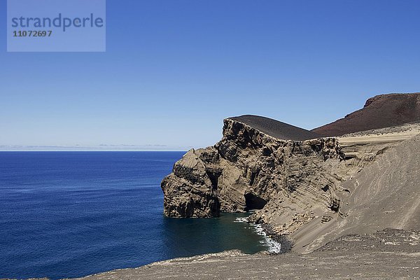 Vulkanische Küste  Faial  Azoren  Portugal  Europa