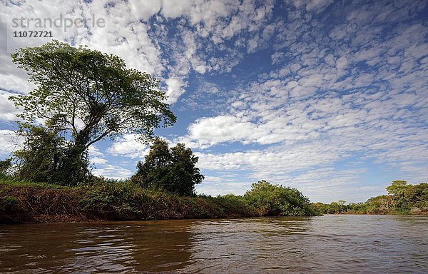 Flusslandschaft Pantanal  Mato Grosso do Sul  Brasilien  Südamerika
