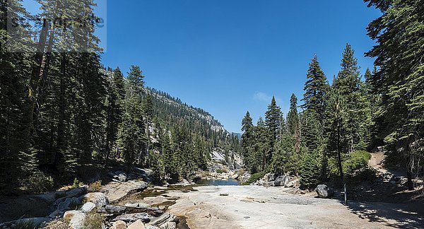 Flussbett des Illilouette Creek  Kiefernwald  Yosemite Nationalpark  Kalifornien  USA  Nordamerika