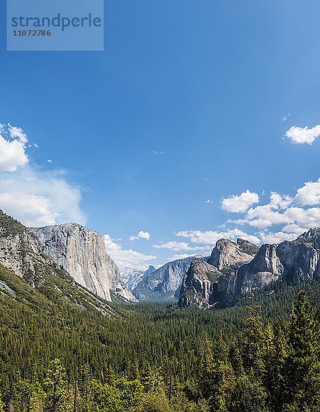 Ausblick ins Tal  Yosemite Valley  Tunnel View  El Capitan  Yosemite National Park  Kalifornien  USA  Nordamerika