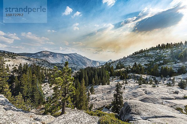 Ausblick in die High Sierra  Olmsted Point  Yosemite National Park  Kalifornien  USA  Nordamerika