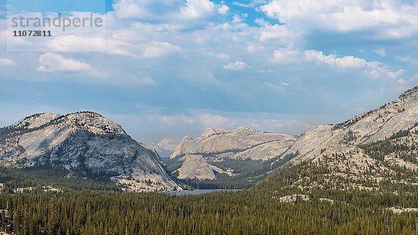 Tenaya Lake und High Sierra  Yosemite National Park  Kalifornien  USA  Nordamerika