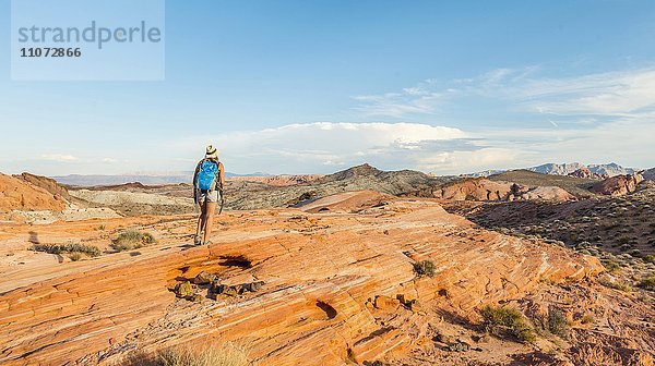 Frau wandert im Valley of Fire State Park  Nevada  USA  Nordamerika