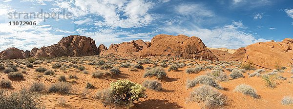 Rainbow Vista  Rot orange Sandsteinfelsen  Mojavewüste  Valley of Fire State Park  Nevada  USA  Nordamerika