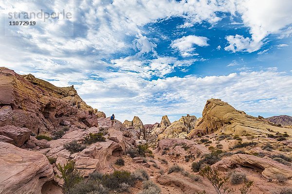Rot orange Sandsteinfelsen  Touristin auf Wanderweg White Dome Trail  Valley of Fire State Park  Mojave Wüste  Nevada  USA  Nordamerika