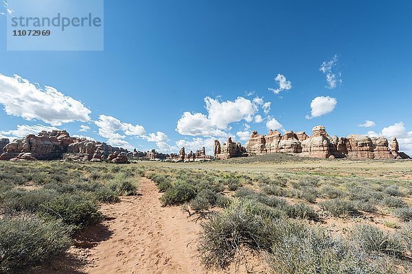 Wanderweg durch Felsformationen  The Needles District  Canyonlands Nationalpark  Utah  USA  Nordamerika