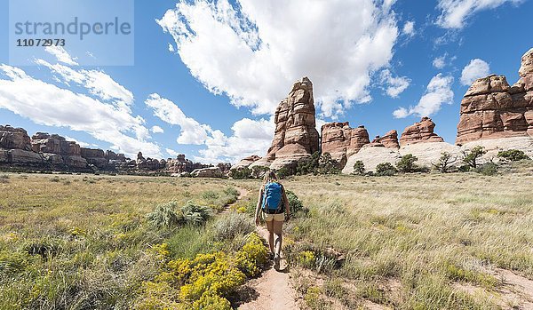 Wanderin auf einem Wanderweg durch Felsformationen  The Needles District  Canyonlands Nationalpark  Utah  USA  Nordamerika