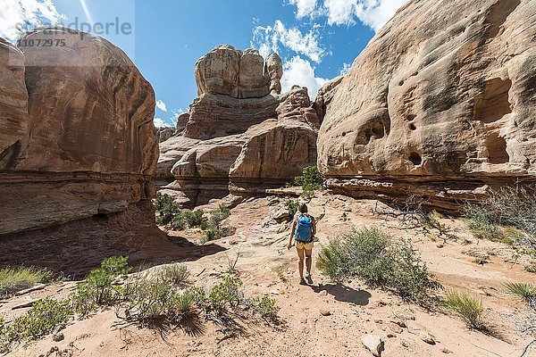 Wanderin auf einem Wanderweg durch eine Schlucht  The Needles District  Canyonlands Nationalpark  Utah  USA  Nordamerika