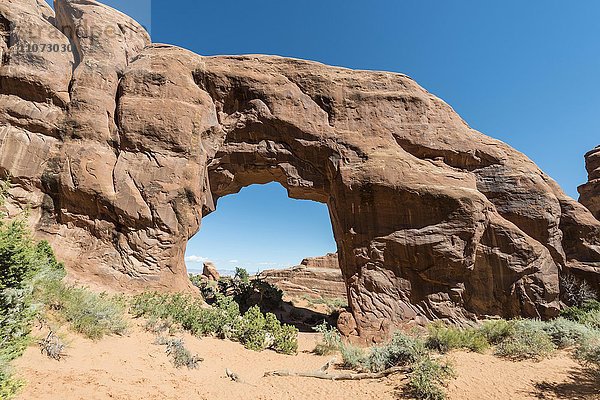 Felsbogen Pine Tree Arch  Arches Nationalpark  Moab  Utah  USA  Nordamerika