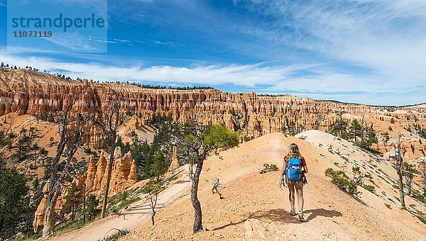 Wanderin mit Rucksack auf Wanderweg in bizarrer Landschaft  rötliche Felslandschaft mit Hoodoos  Sandsteinformationen  Bryce Canyon Nationalpark  Utah  USA  Nordamerika