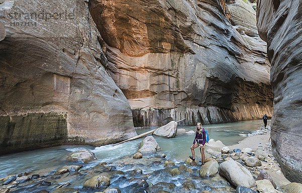 Wanderin steht im Fluss  Zion Narrows  Engstelle des Virgin River  Steilwände des Zion Canyon  Zion Nationalpark  Utah  USA  Nordamerika