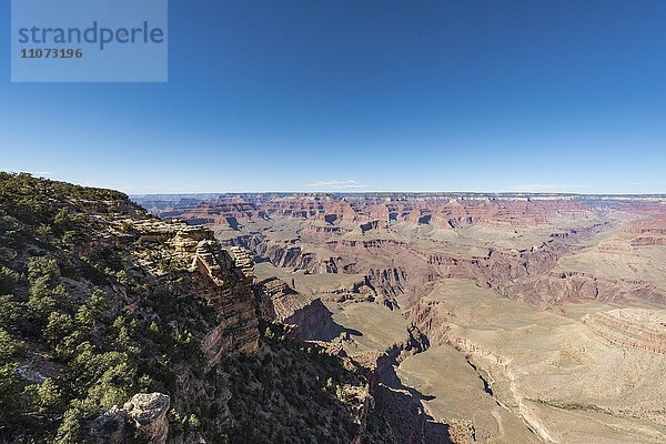 Ausblick auf Canyonlandschaft  South Rim  Grand Canyon Nationalpark  Arizona  USA  Nordamerika