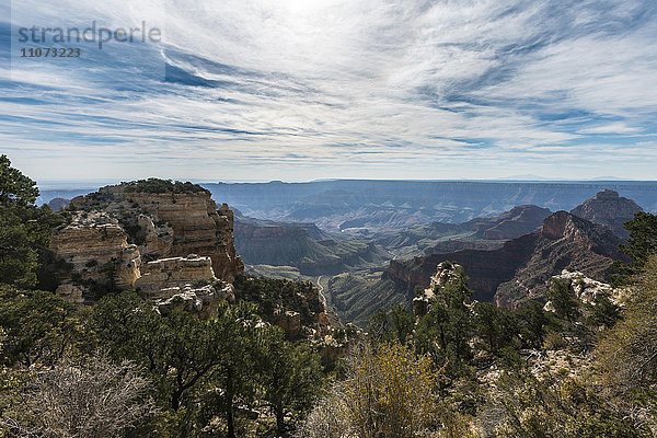 Ausblick auf North Rim  Grand Canyon Nationalpark  Arizona  USA  Nordamerika